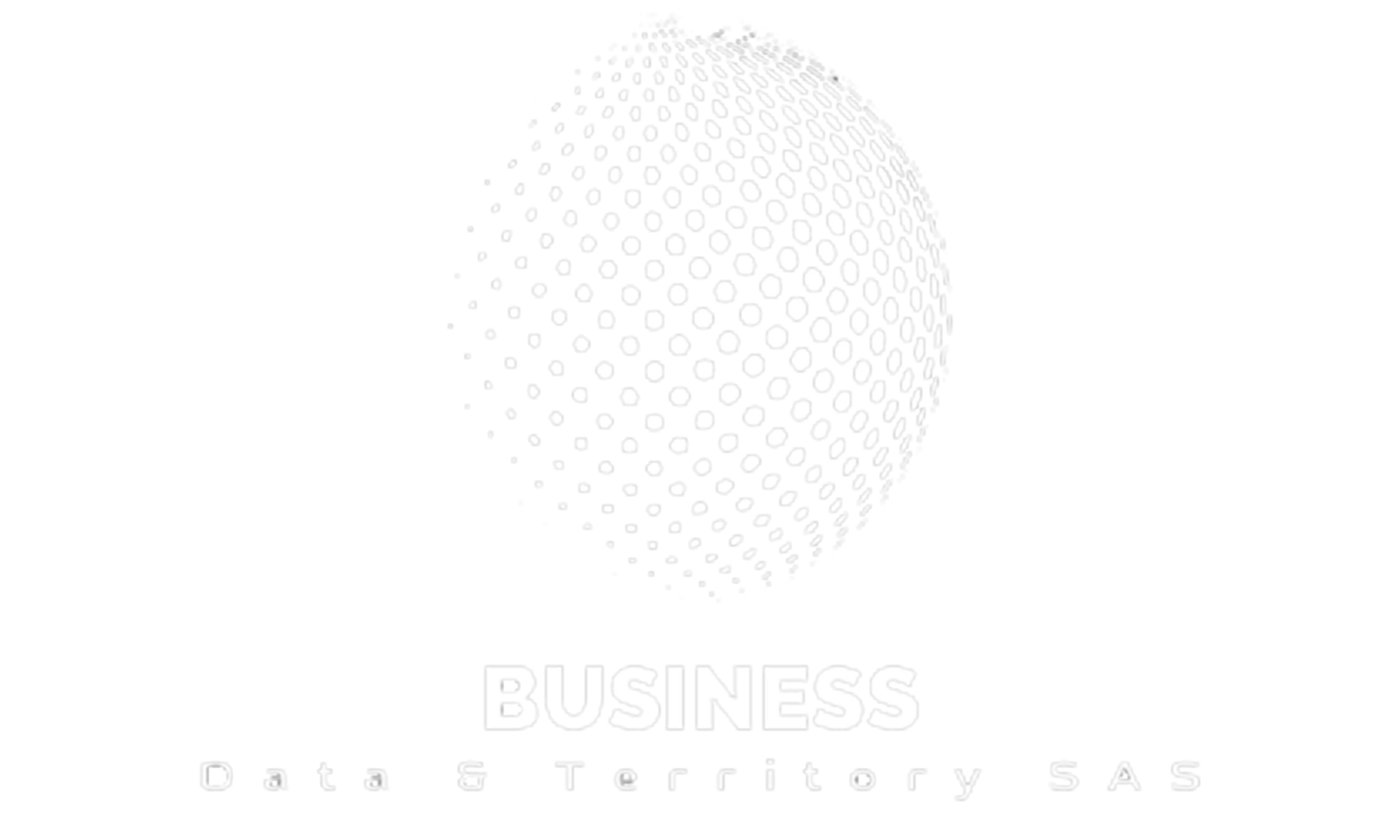 Business Data and Territory sas